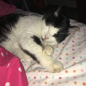 Meet your Posher, Emma